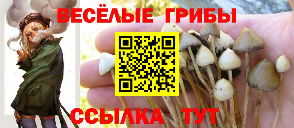 Псилоцибиновые грибы ЛСД  Вход с VPN  Мурманск 