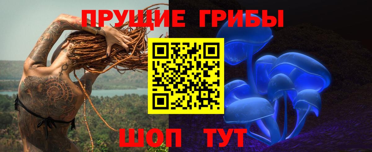 Галлюциногенные грибы прущие грибы Мурманск